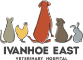Ivanhoe East Veterinary Hospital